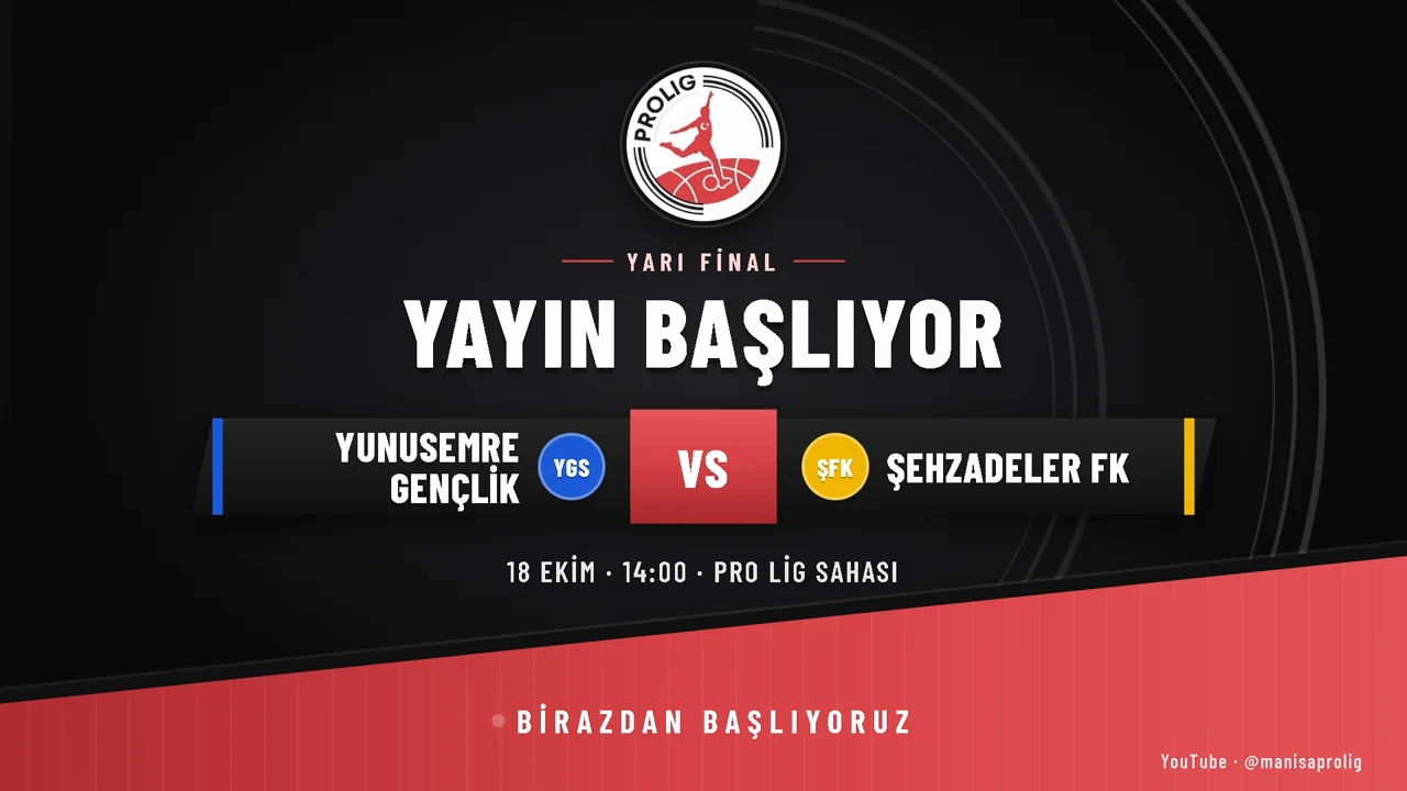 Manisa Pro Lig